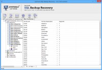   Repair Corrupt SQL Backup Files