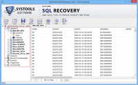   MS SQL Server Rebuild Database