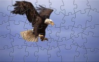   NTMMF_Eagle_Puzzle