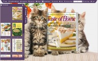 Скачать бесплатно FlashBook Templates for Pet Cat Style