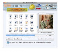   Mac File Recovery