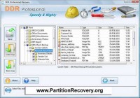   Partition Recovery