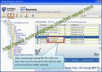   BKF File Recovery Software