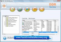   Flash Recovery