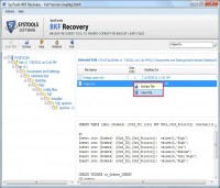   BKF Repair Software