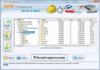Скачать бесплатно File Salvage Software