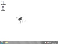   Interactive Spider Desktop Wallpaper