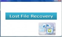   Lost File Recovery