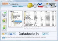   Professional Data Recovery