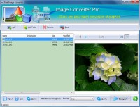   FPicsoft Free Image Converter