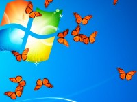   Butterfly On Desktop