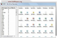   USB Repair Software