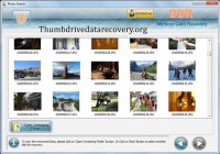 Скачать бесплатно Memory Card File Rescue Software