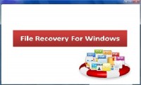   File Recovery For Flash Drives