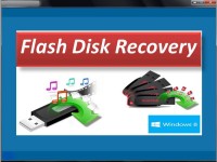   Flash Disk Recovery